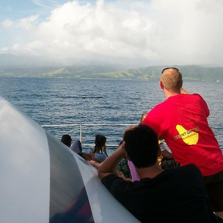Anchorage Hotel, Whale Watch & Dive Center 罗索 外观 照片