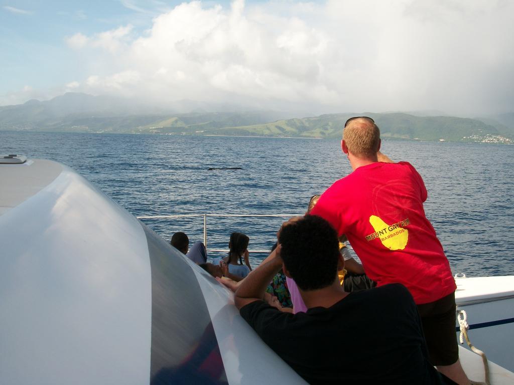 Anchorage Hotel, Whale Watch & Dive Center 罗索 外观 照片