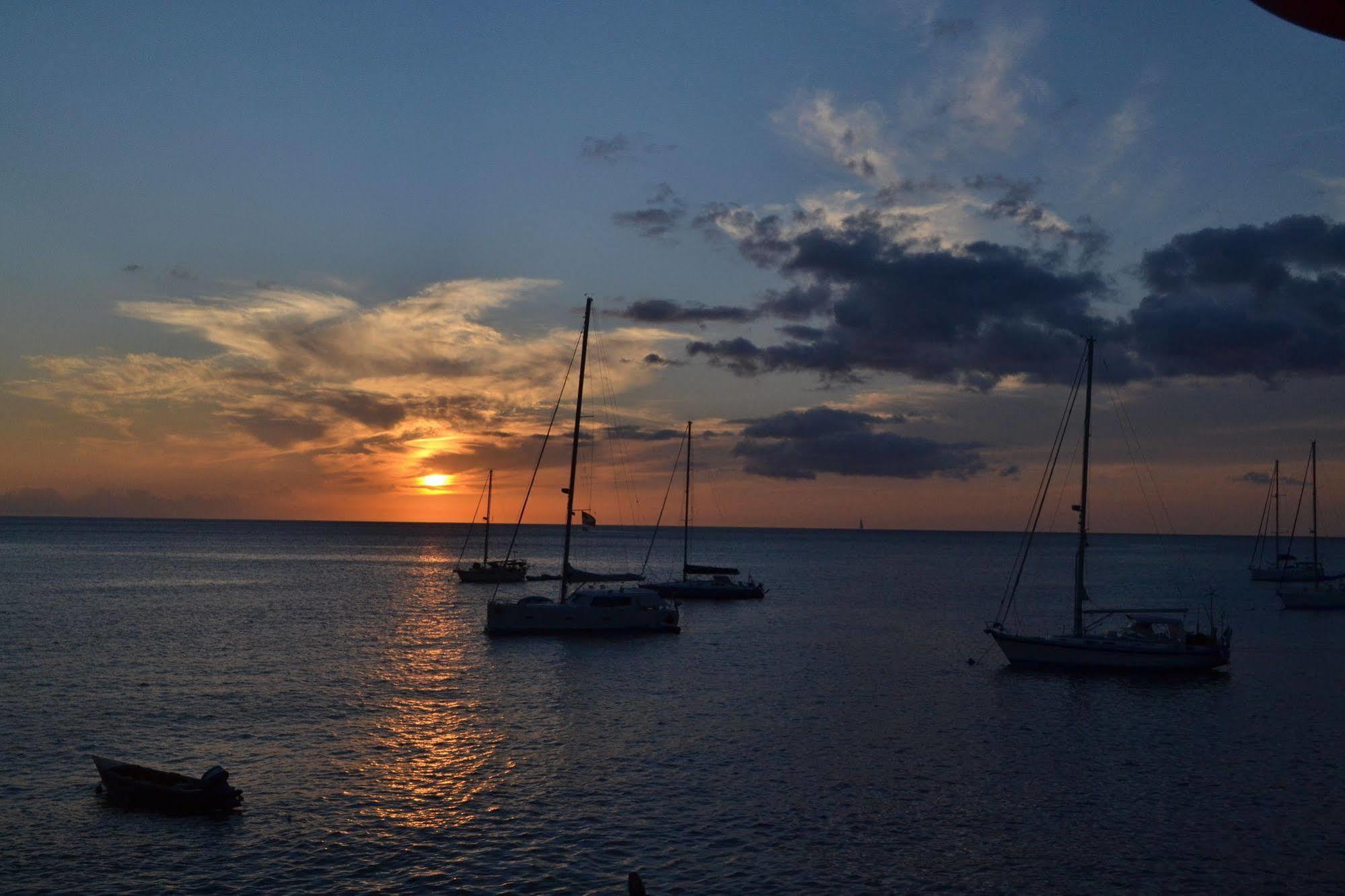 Anchorage Hotel, Whale Watch & Dive Center 罗索 外观 照片
