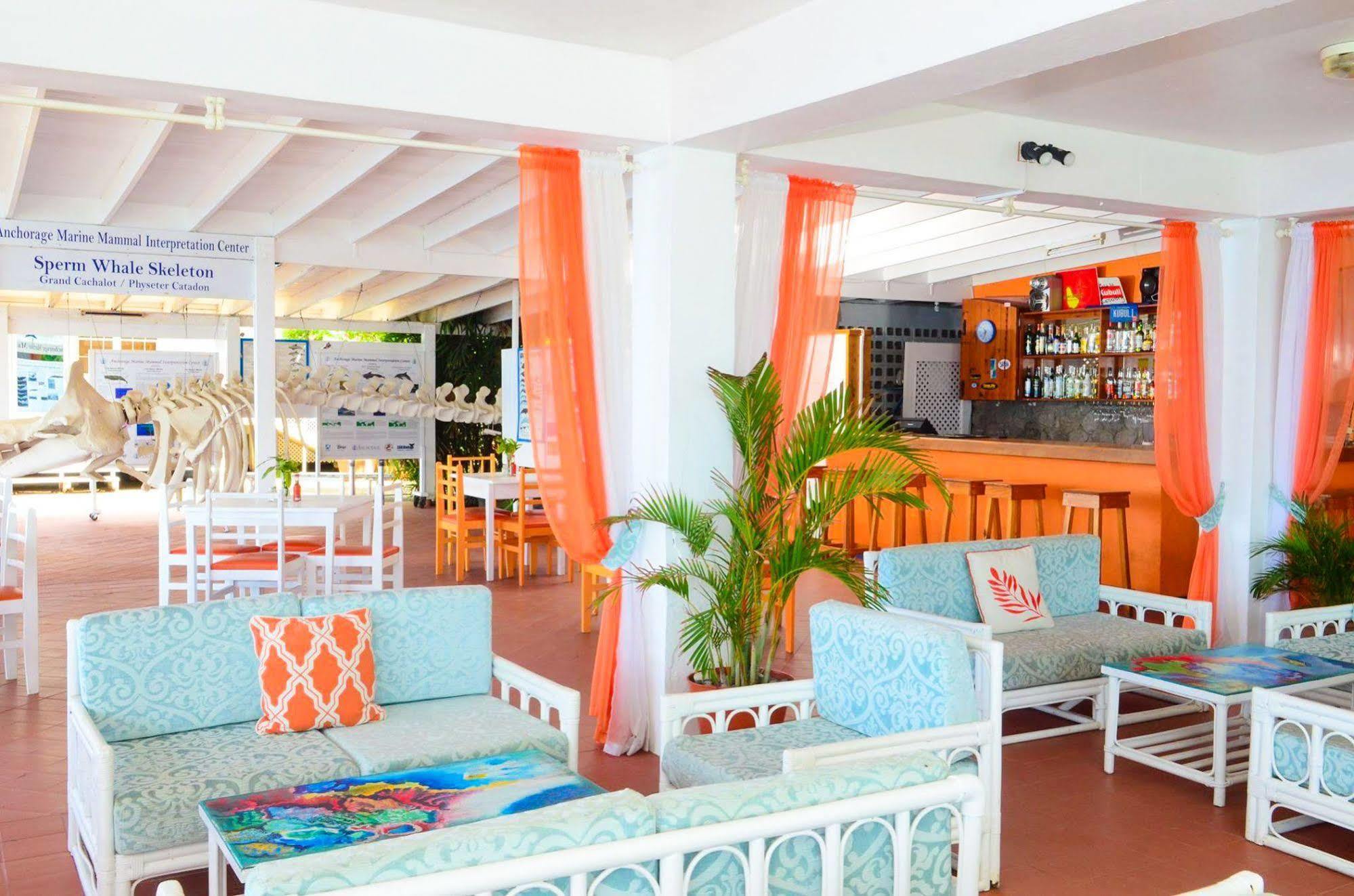 Anchorage Hotel, Whale Watch & Dive Center 罗索 外观 照片